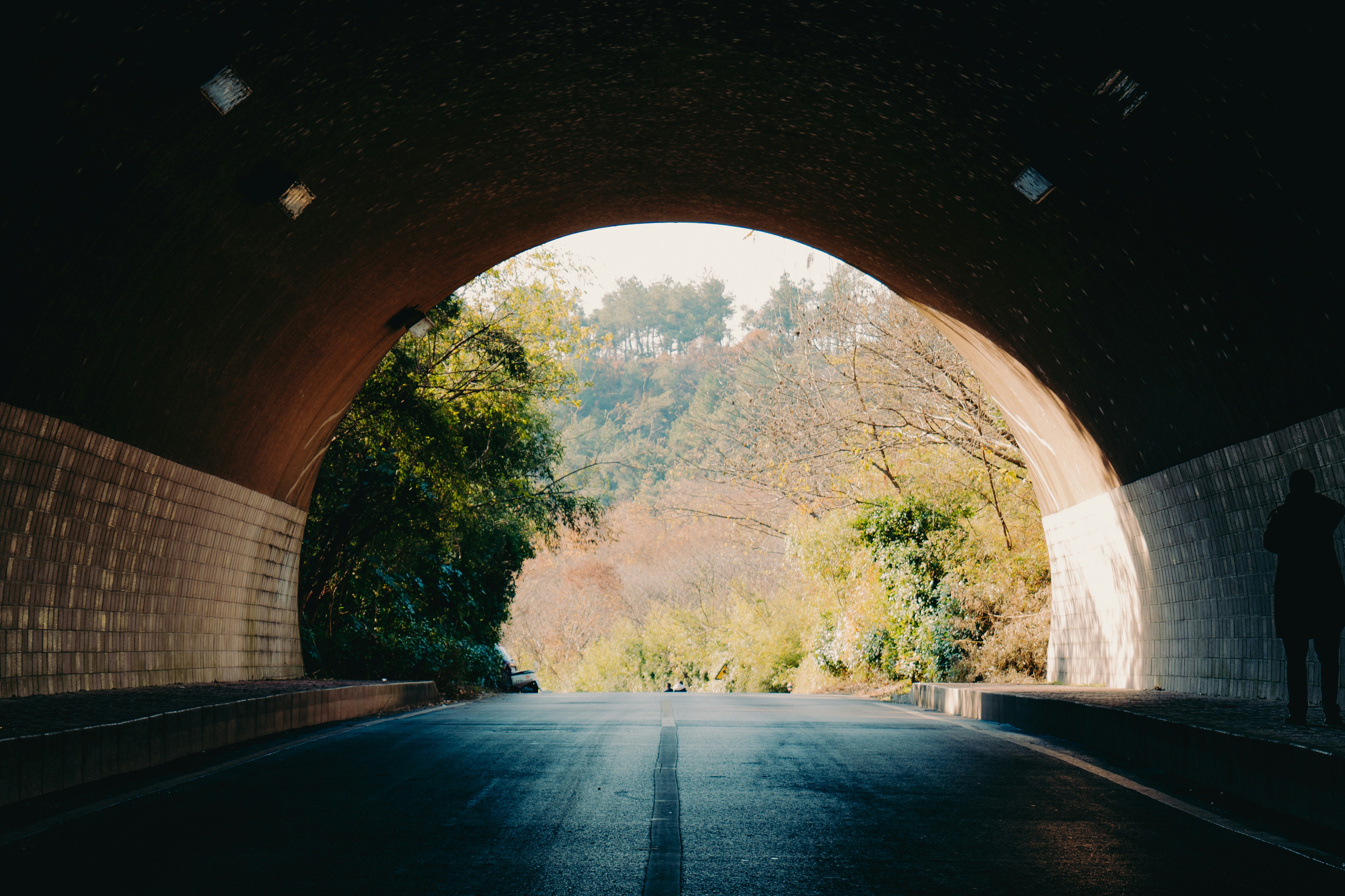 A road emerging from a tunnel into an open, sunlit view ahead